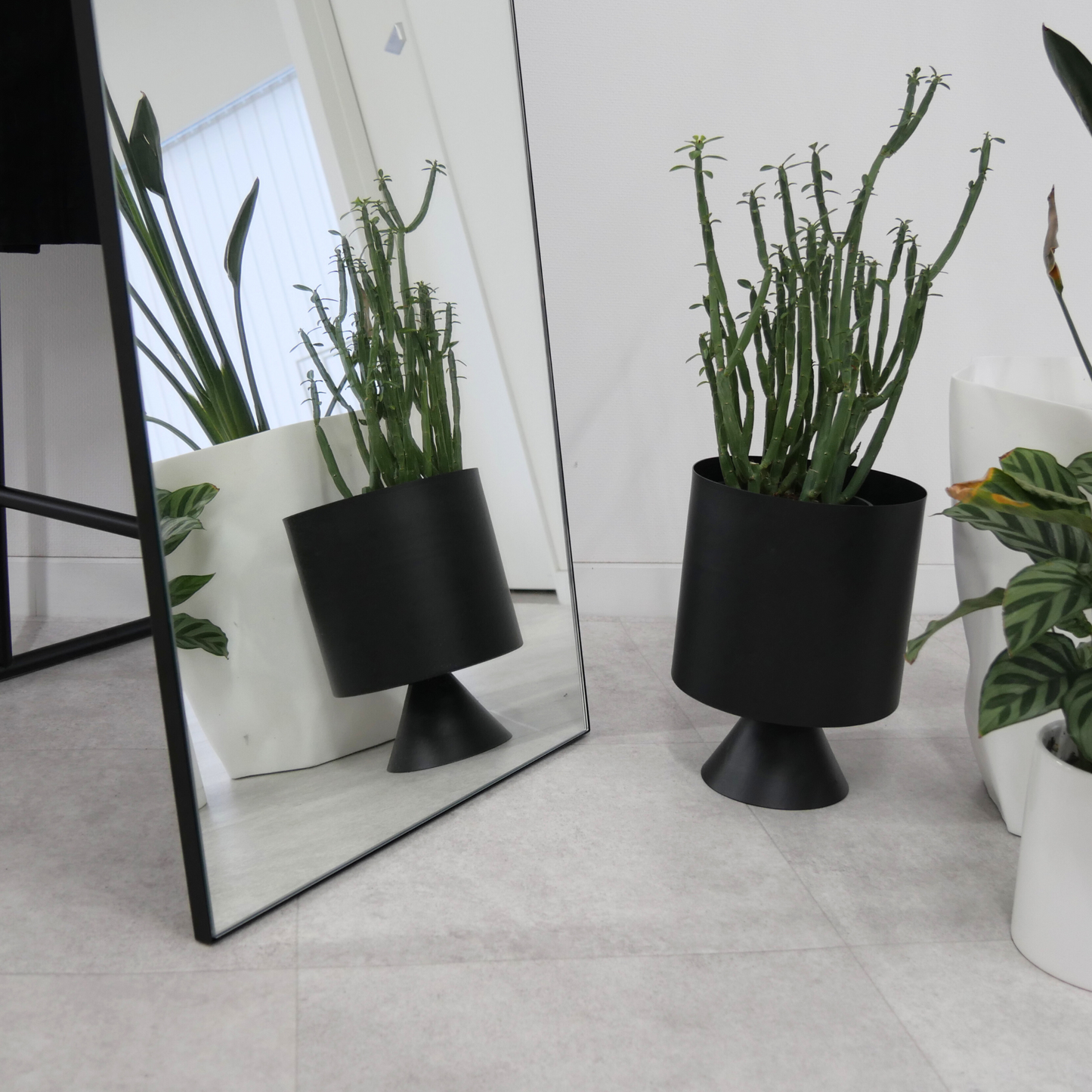 【KUROSHIRO】MIRROR STAND